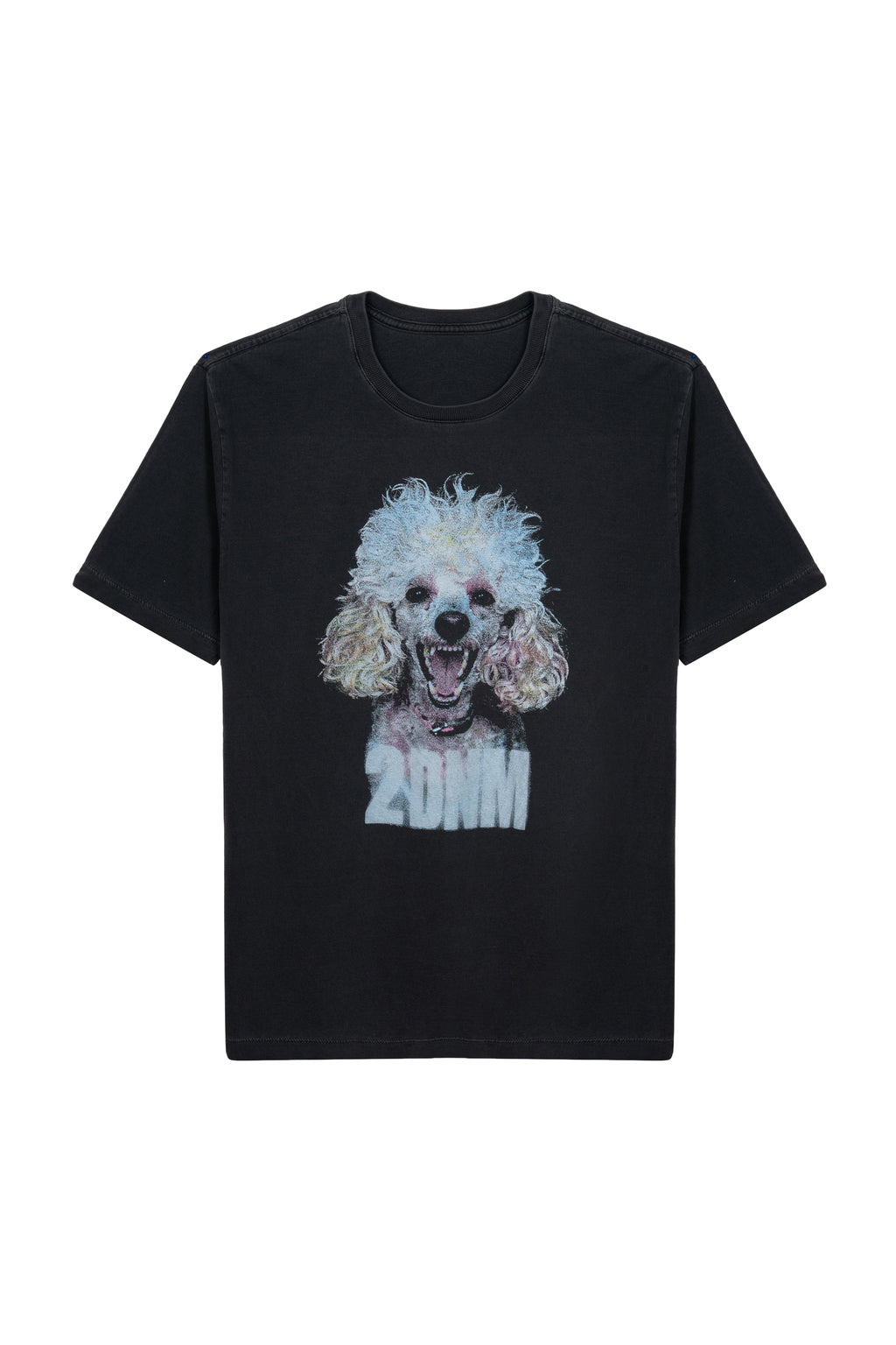 T-Shirt Malha Poodle 1