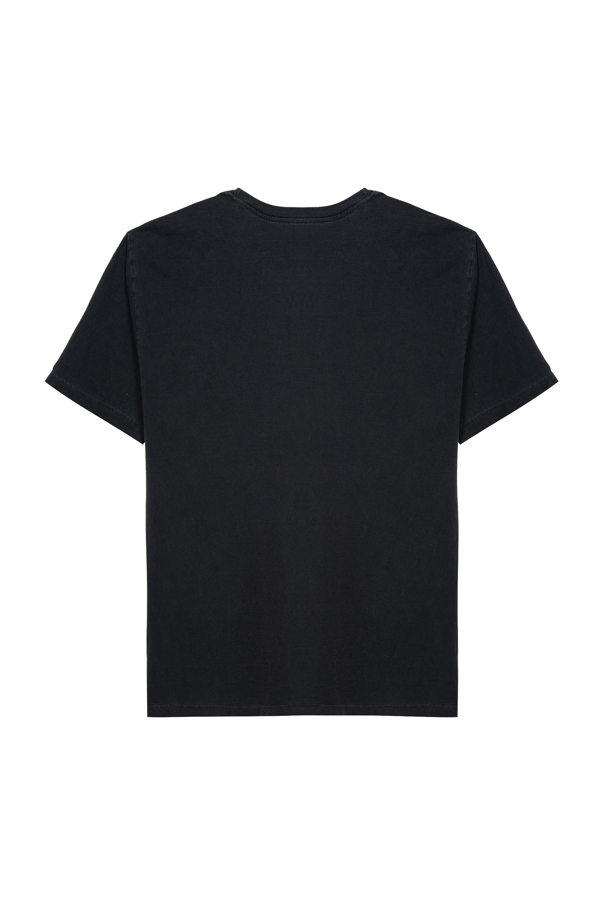 T-Shirt Malha Poodle 1