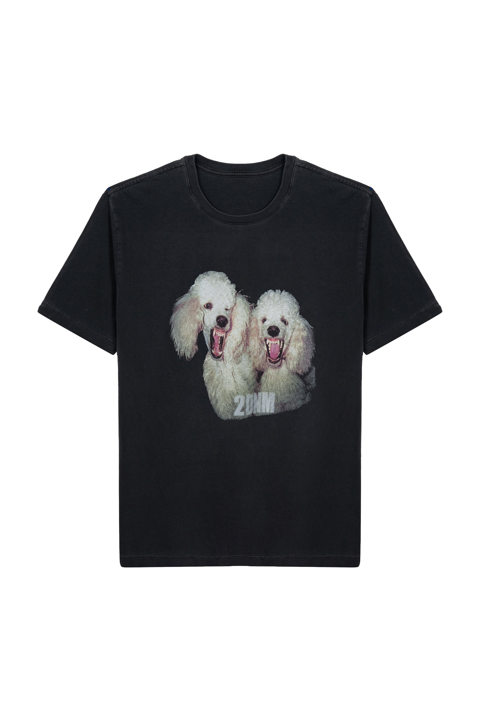 T-Shirt Malha Poodle 2