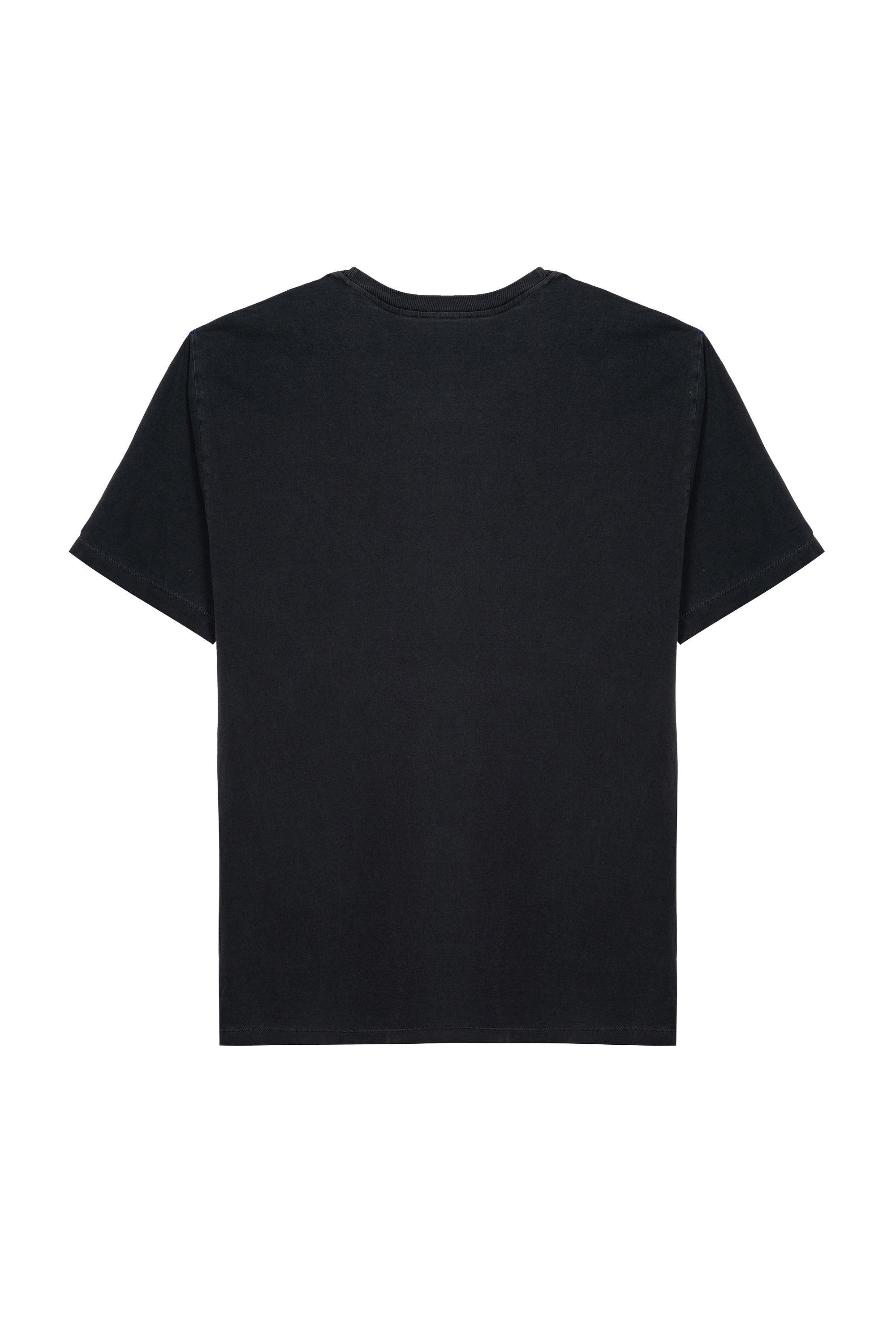 T-Shirt Malha Poodle 2